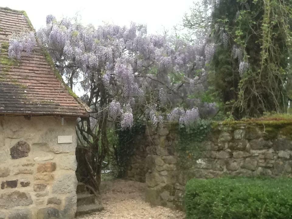 Отель Domaine De Sautou Castanet  Экстерьер фото