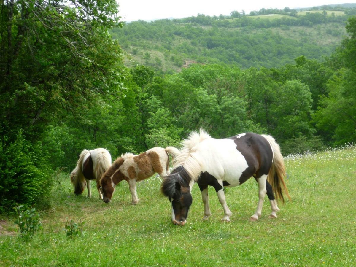 Отель Domaine De Sautou Castanet  Экстерьер фото